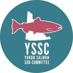 Yukon Salmon Committee