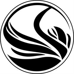 Hair Wizardry Store