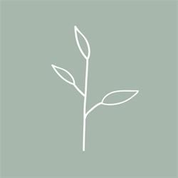 Therapy Collective