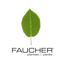 Faucher Plantes & Pavés