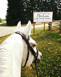 HighThorn Equestrian Centre