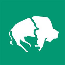 Buffalo Airways Ltd