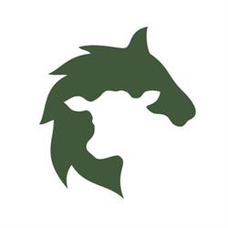 Central Ontario Veterinary Services