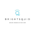 Brightsquid
