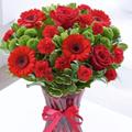 Bloomen Inc
