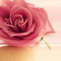 Meena Syed