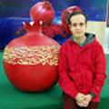 Majid Nasirinejad