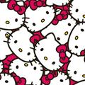 Kitty Wong